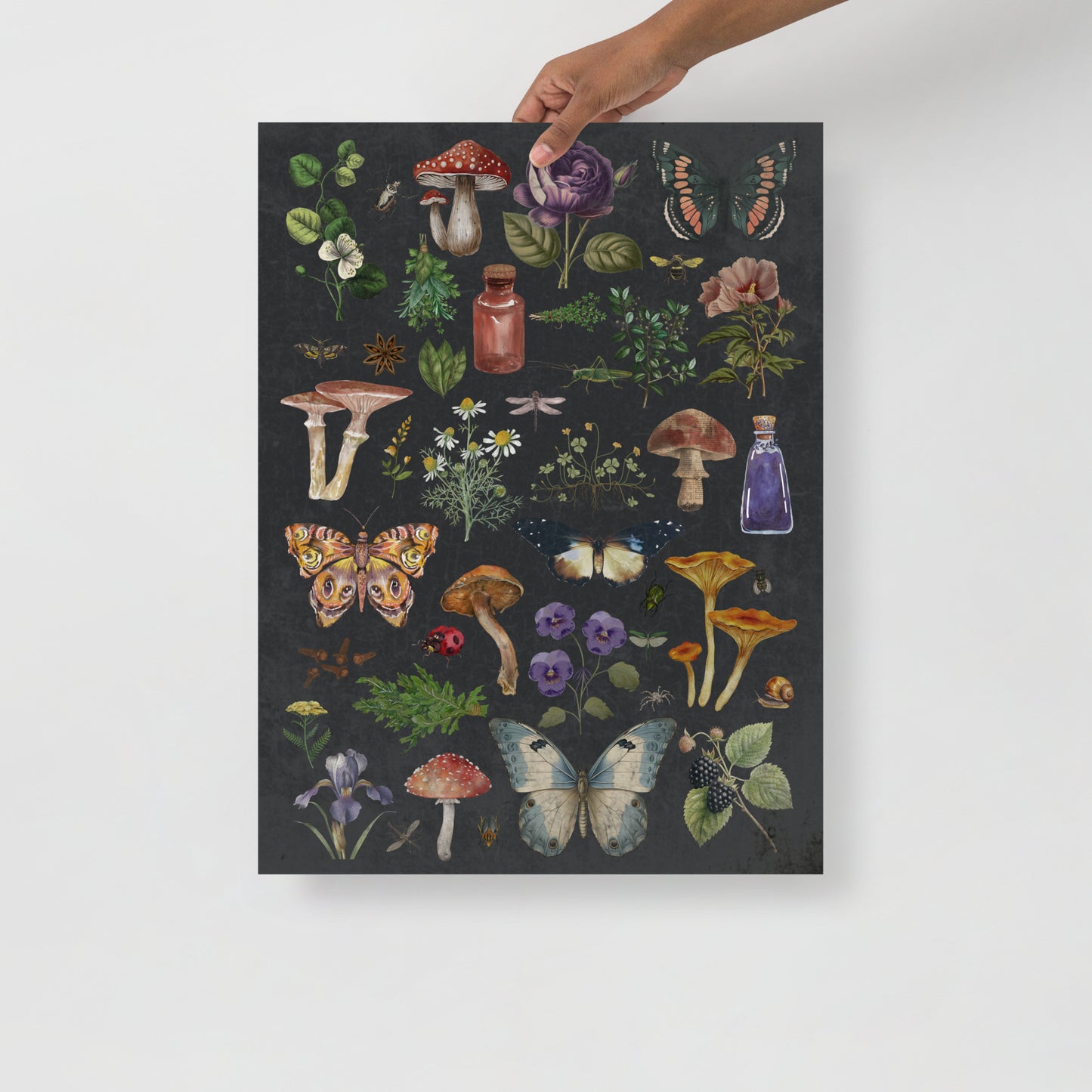 Wall Art Print - Witchy Botanicals - Vintage Nature Collage-By The Bard