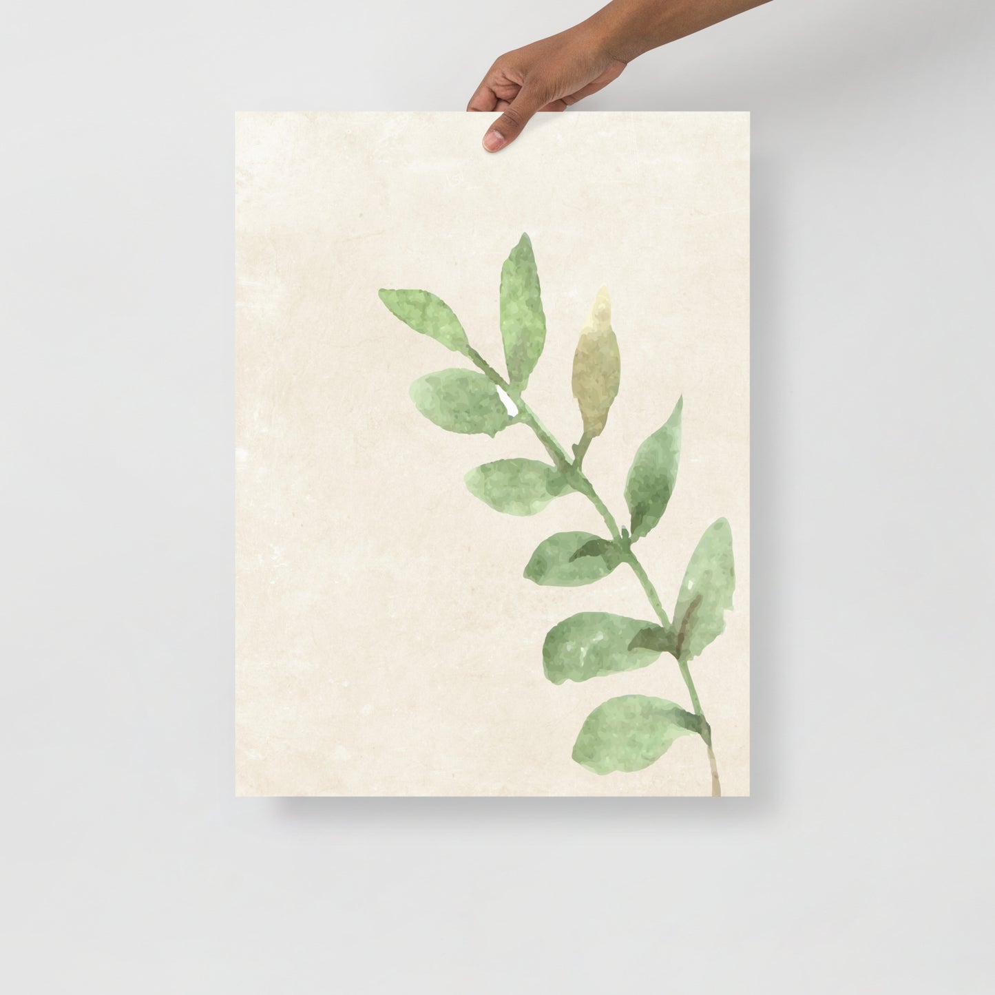 Wall Art Print - Botanical Watercolour Leaves Illustration