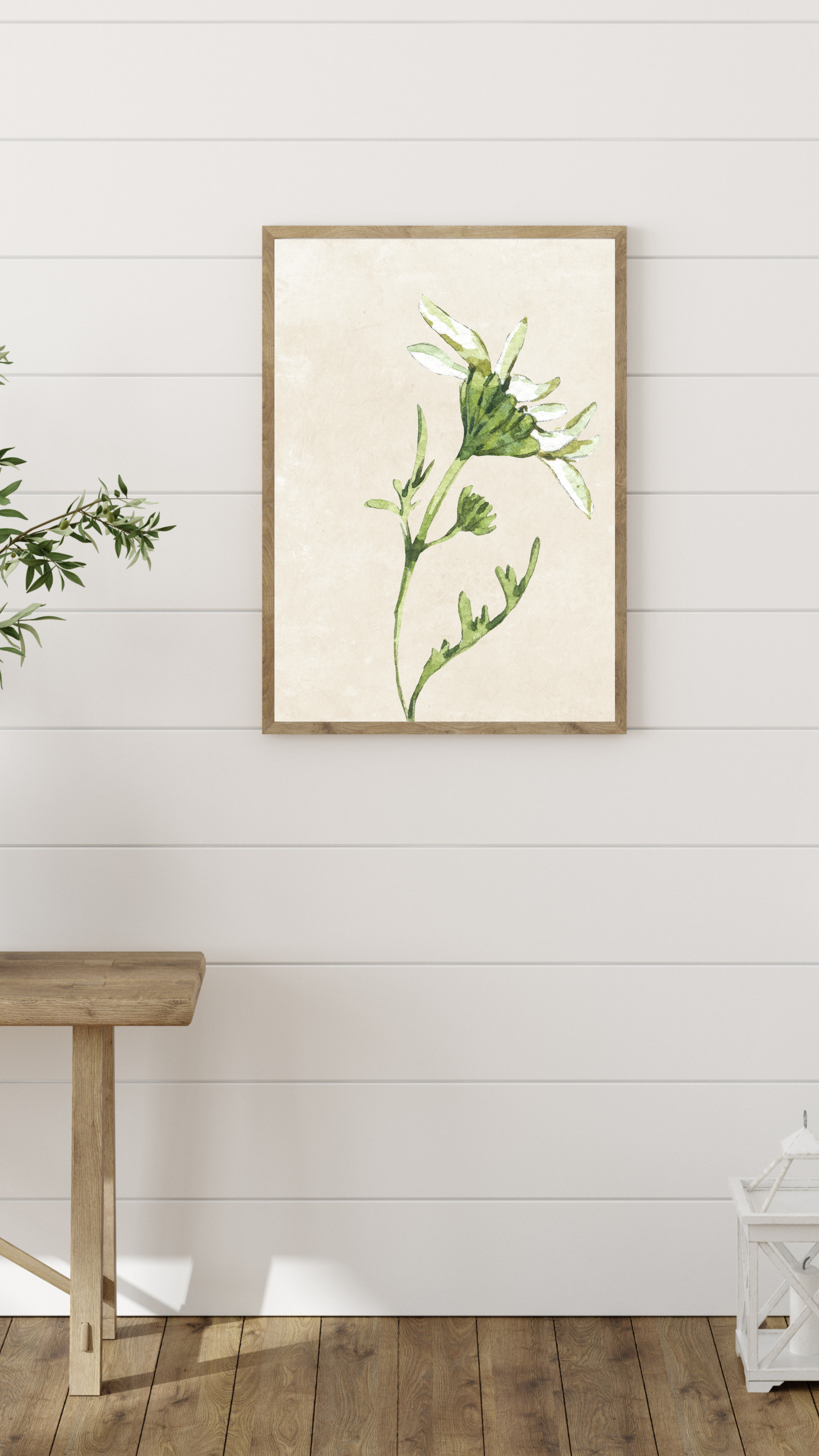 Wall Art Print - Botanical Watercolour Daisy Illustration-By The Bard