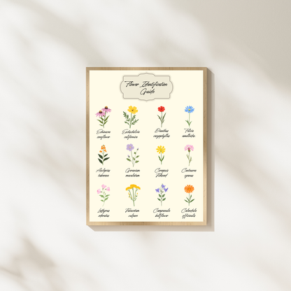 Wall Art Print - Flower Identification Guide-By The Bard