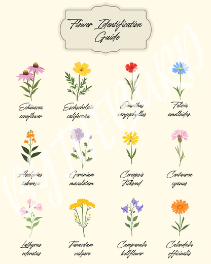 Wall Art Print - Flower Identification Guide-By The Bard