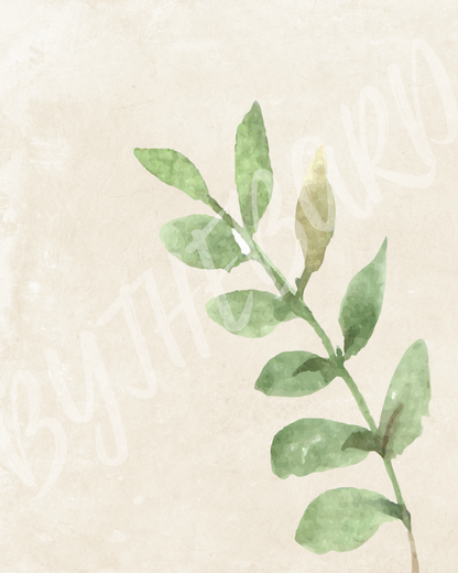 Wall Art Print - Botanical Watercolour Leaves Illustration-By The Bard