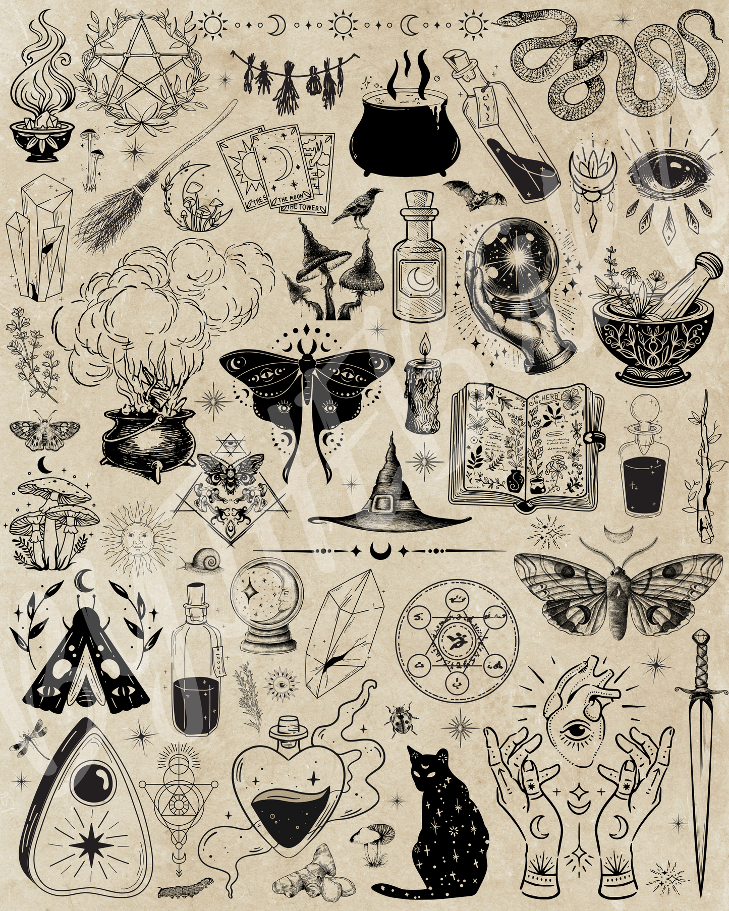 Wall Art Print - Mystical Witchcraft Vintage Illustration-By The Bard
