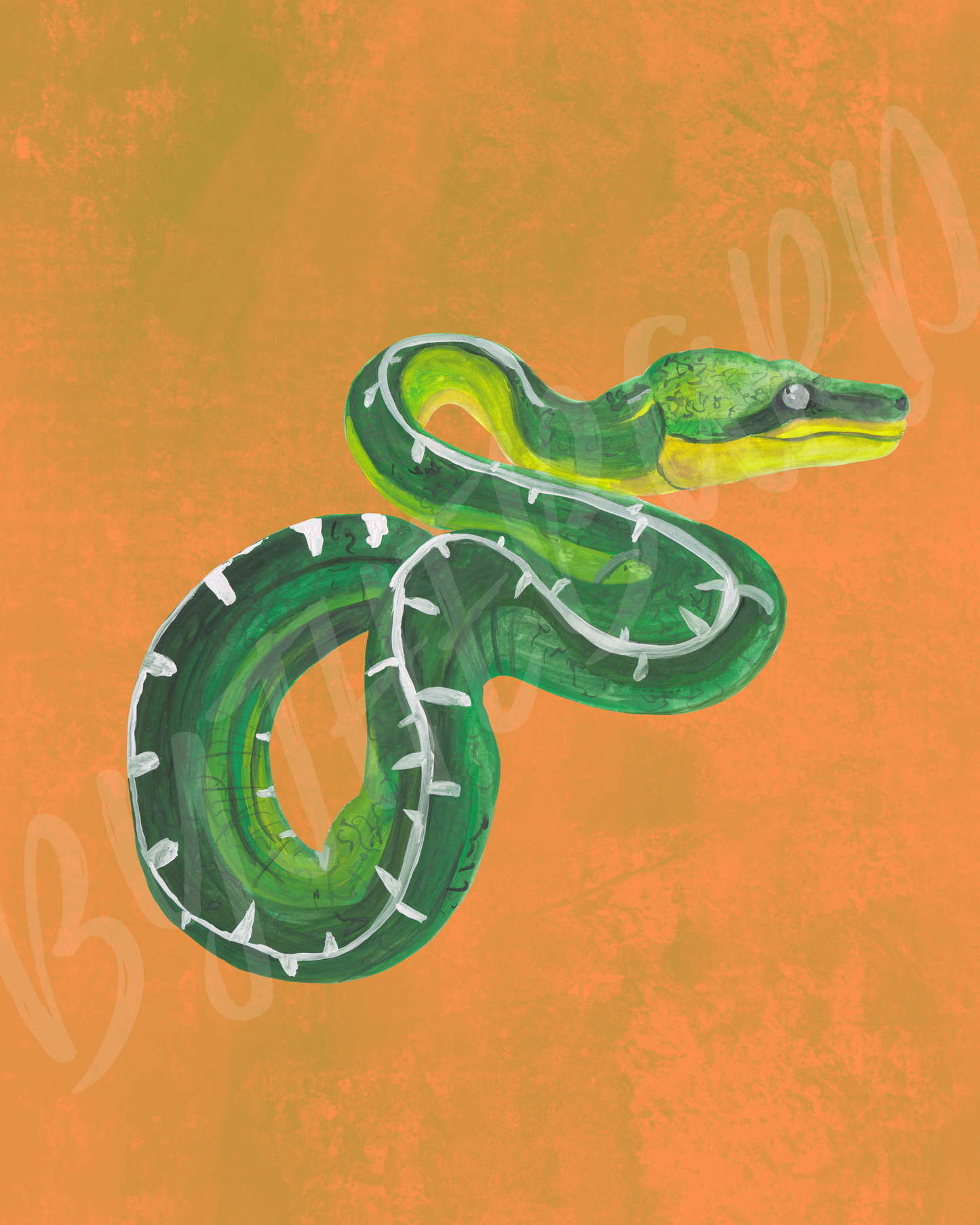 Wall Art Print - Emerald Python-By The Bard