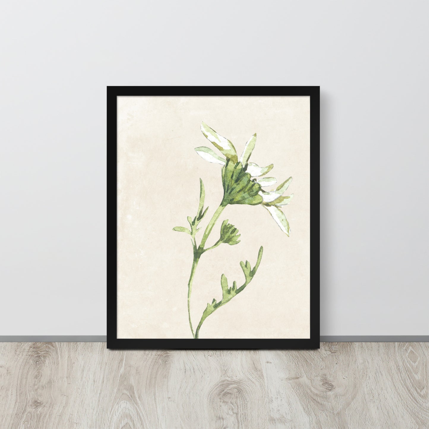 Wall Art Print - Botanical Watercolour Daisy Illustration-By The Bard