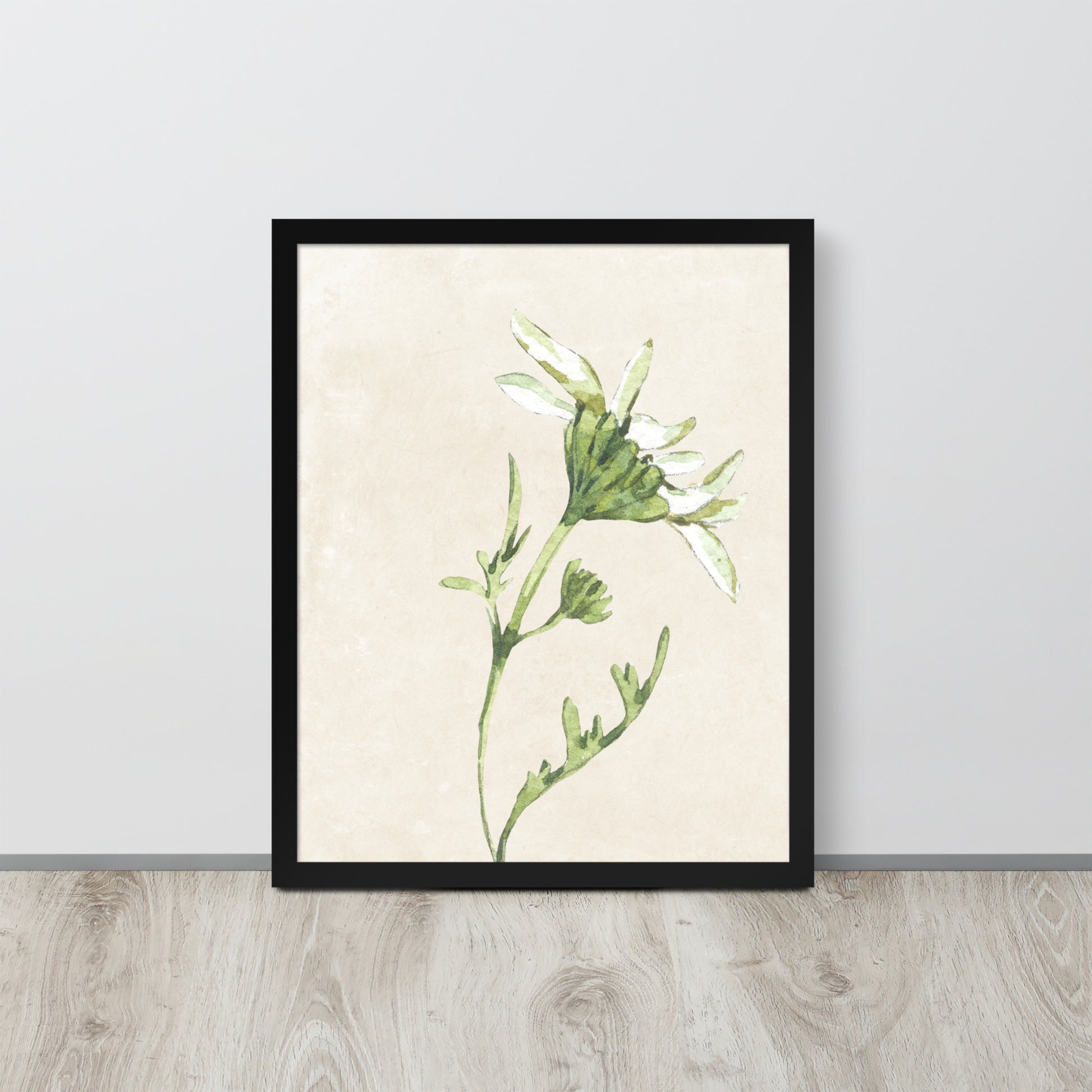 Wall Art Print - Botanical Watercolour Daisy Illustration-By The Bard