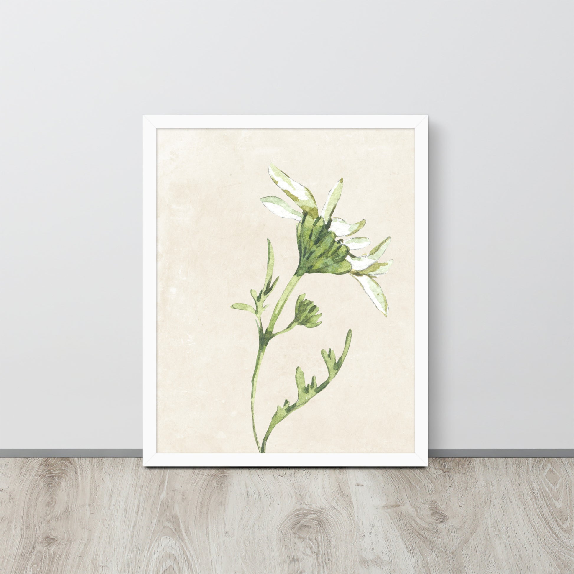 Wall Art Print - Botanical Watercolour Daisy Illustration-By The Bard