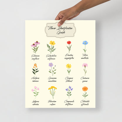 Wall Art Print - Flower Identification Guide-By The Bard