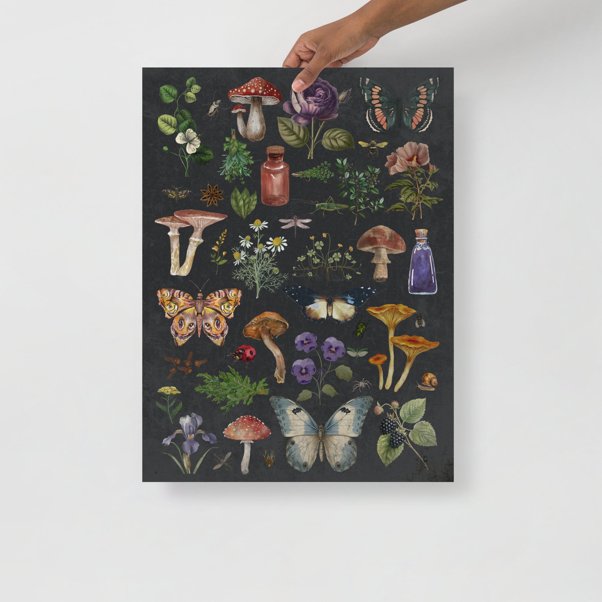 Wall Art Print - Witchy Botanicals - Vintage Nature Collage-By The Bard