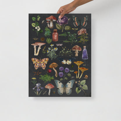 Wall Art Print - Witchy Botanicals - Vintage Nature Collage-By The Bard