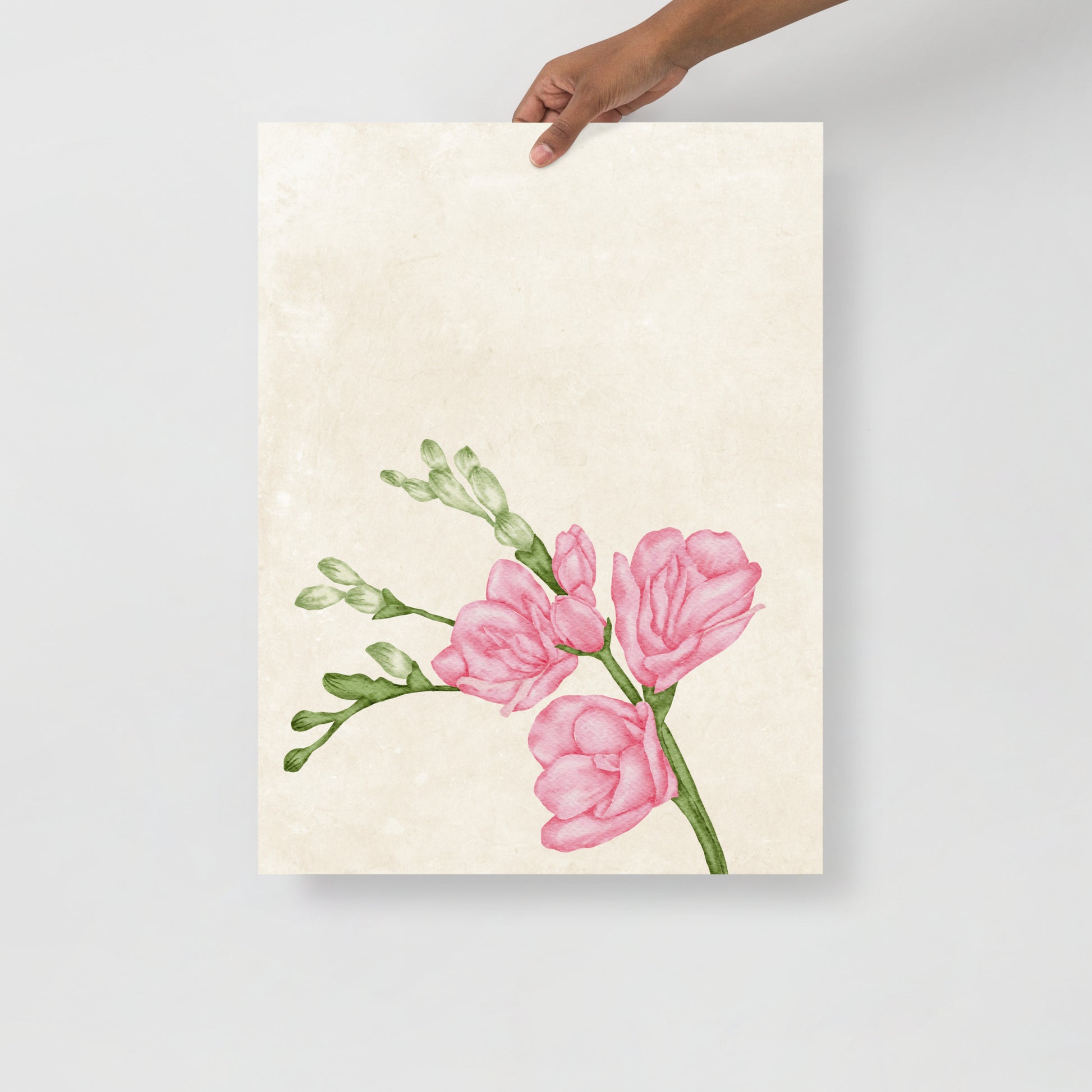 Wall Art Print - Botanical Watercolour Freesia Illustration-By The Bard